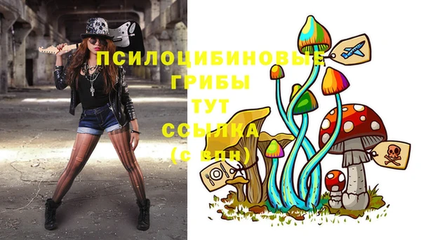 МДПВ Богданович