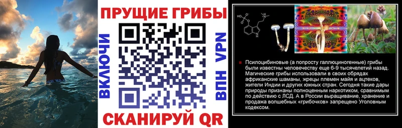 Псилоцибиновые грибы Cubensis  Бобров 